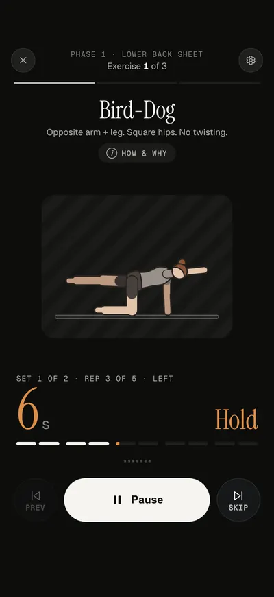 Corset guiding a bird-dog exercise: the movement figure, set 1 of 2, rep 3 of 5, and a hold timer.